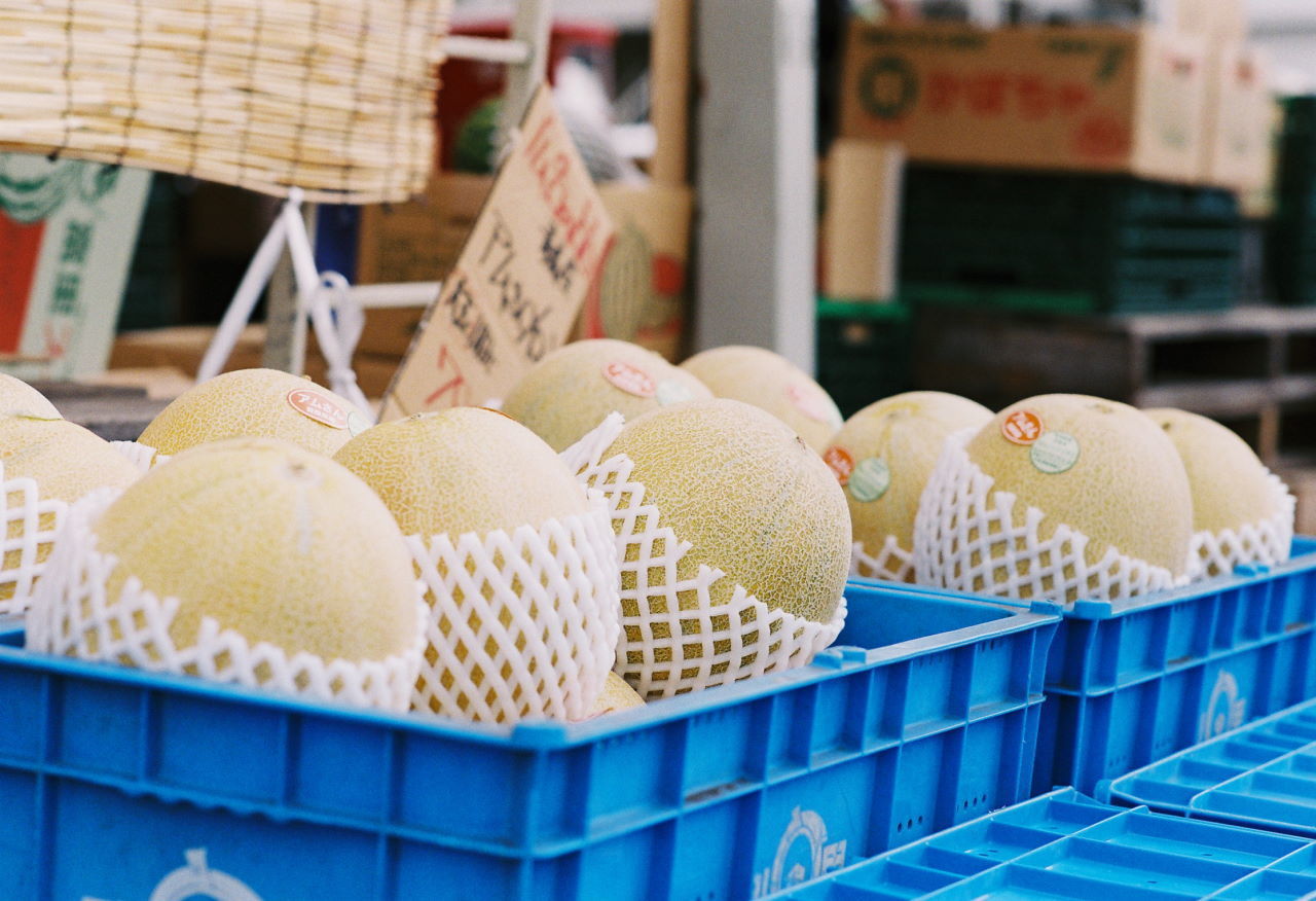 極上!ポートレートレンズ canon FD 85mm f1.8 s.s.c.: 弘法よ 極上!ポートレートレンズ canon FD 85mm f1.8 s.s.c.: 弘法よ