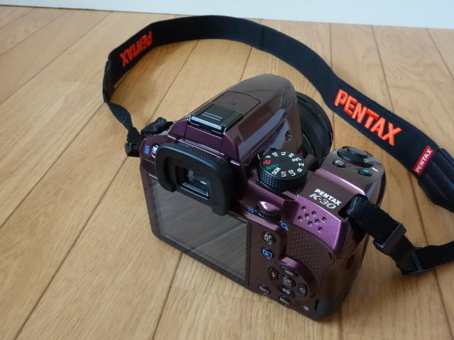 水も滴るイケメンリーゼント PENTAX K-30: 弘法よ、筆は選べ